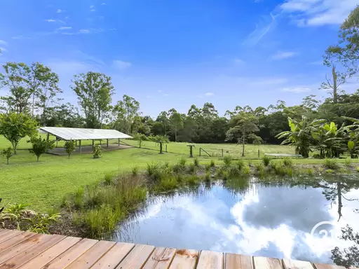 38 Seib Road, Eumundi Sold by Ray White Noosa - image 22