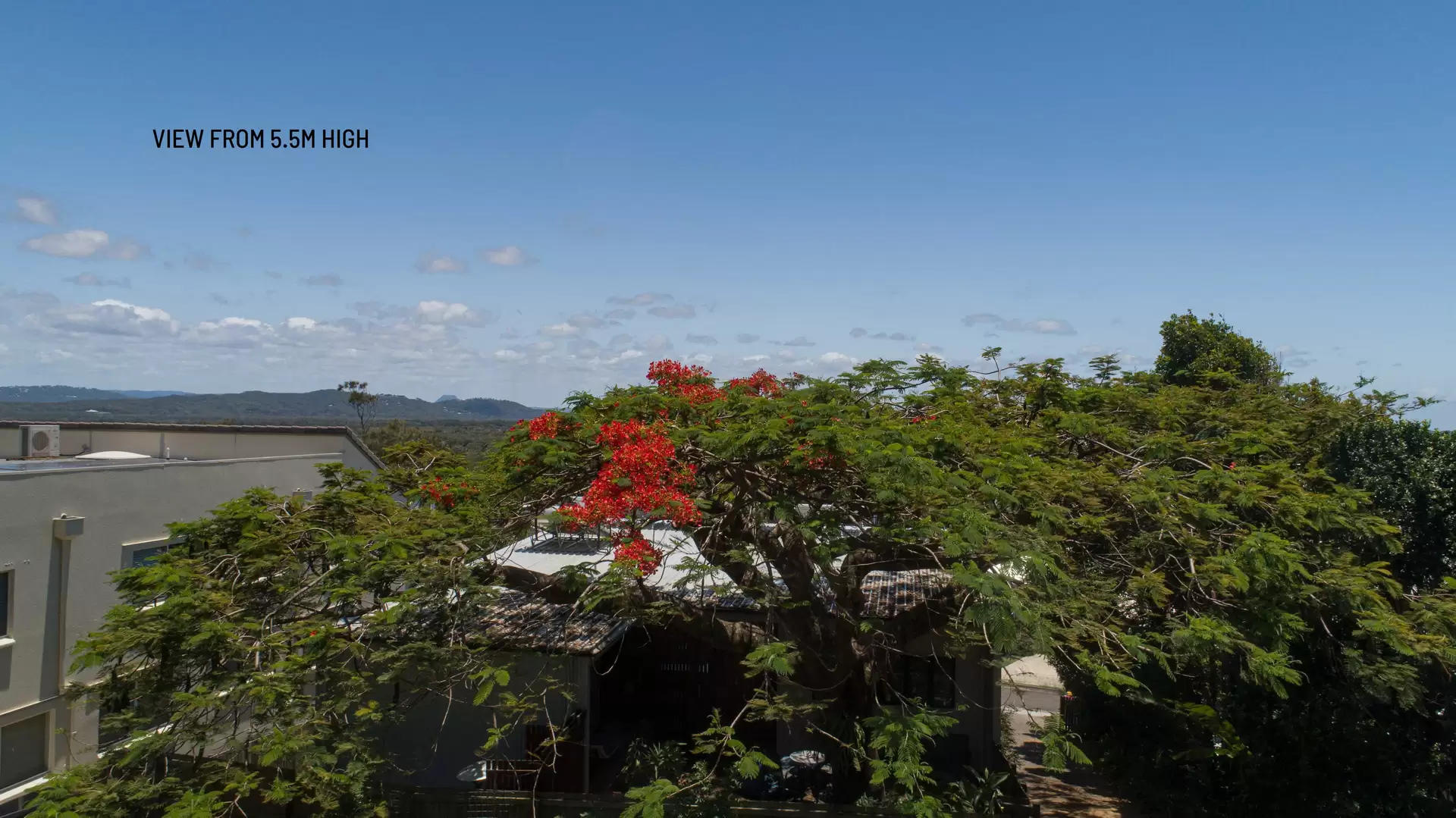 Photo #11: 15 Greenoaks Drive, Coolum Beach - Sold by Ray White Noosa