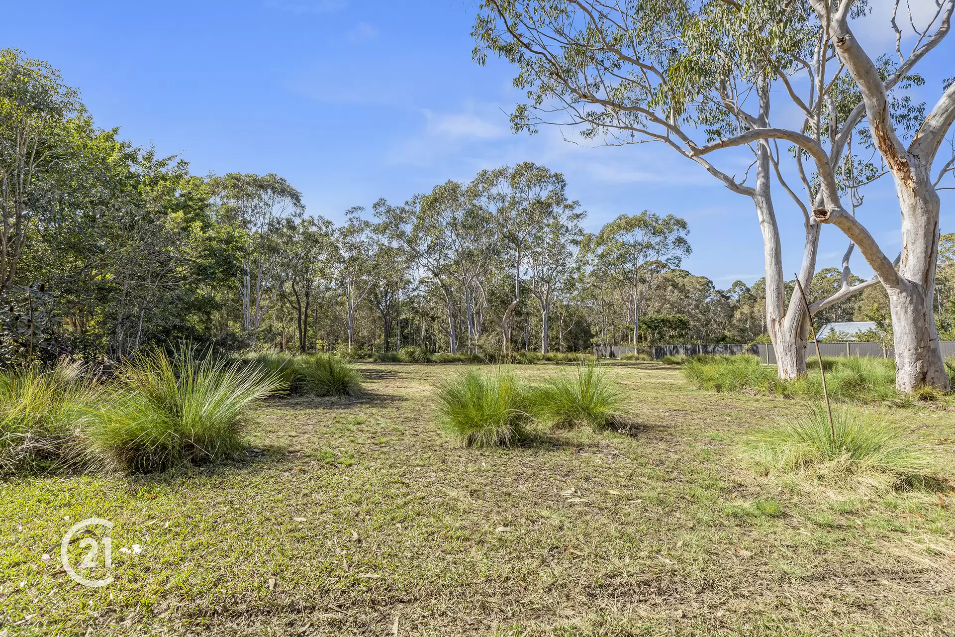 Photo #7: 8 Wattlebird Drive, Doonan - Sold by Ray White Noosa