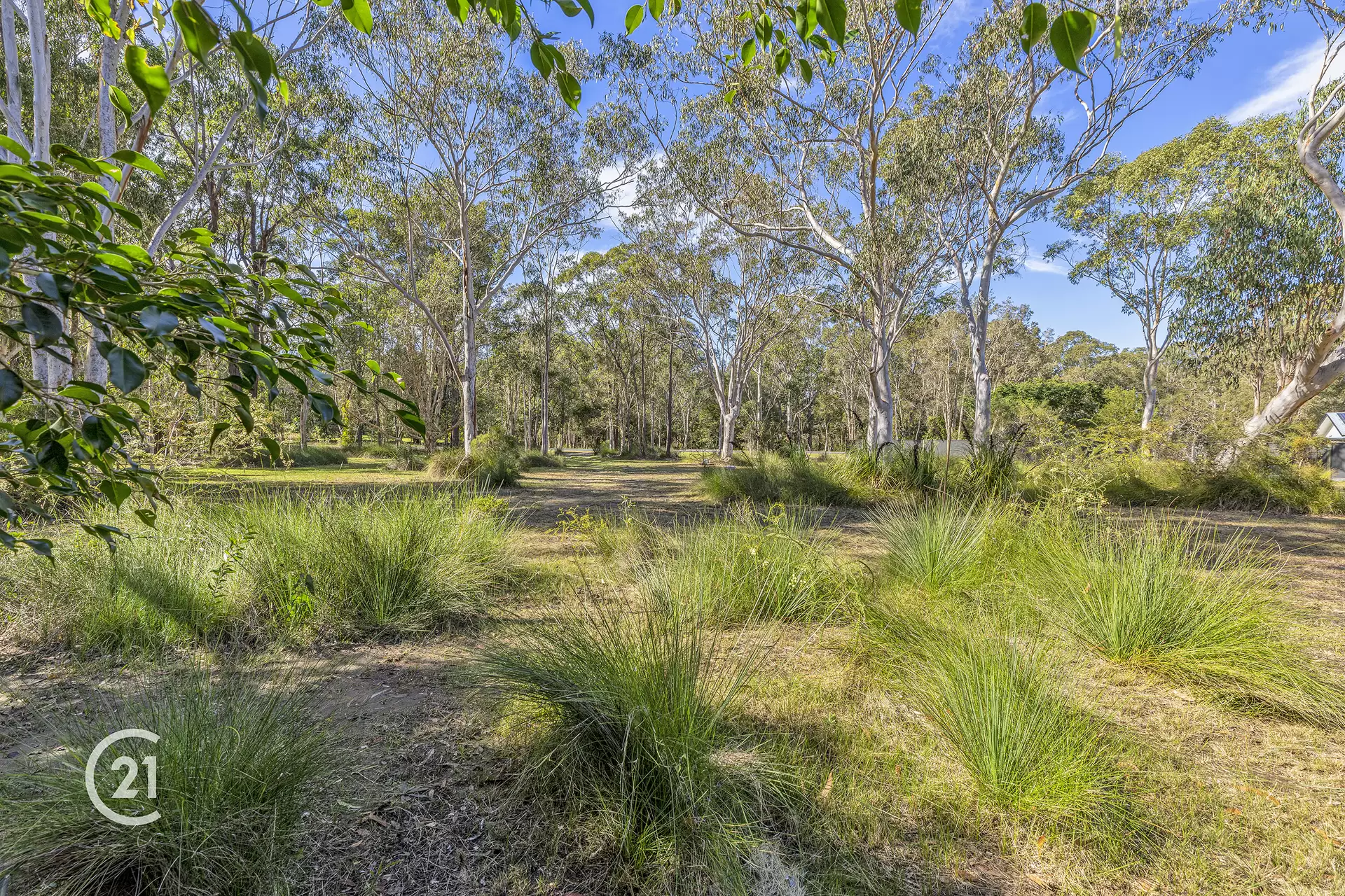 Photo #5: 8 Wattlebird Drive, Doonan - Sold by Ray White Noosa