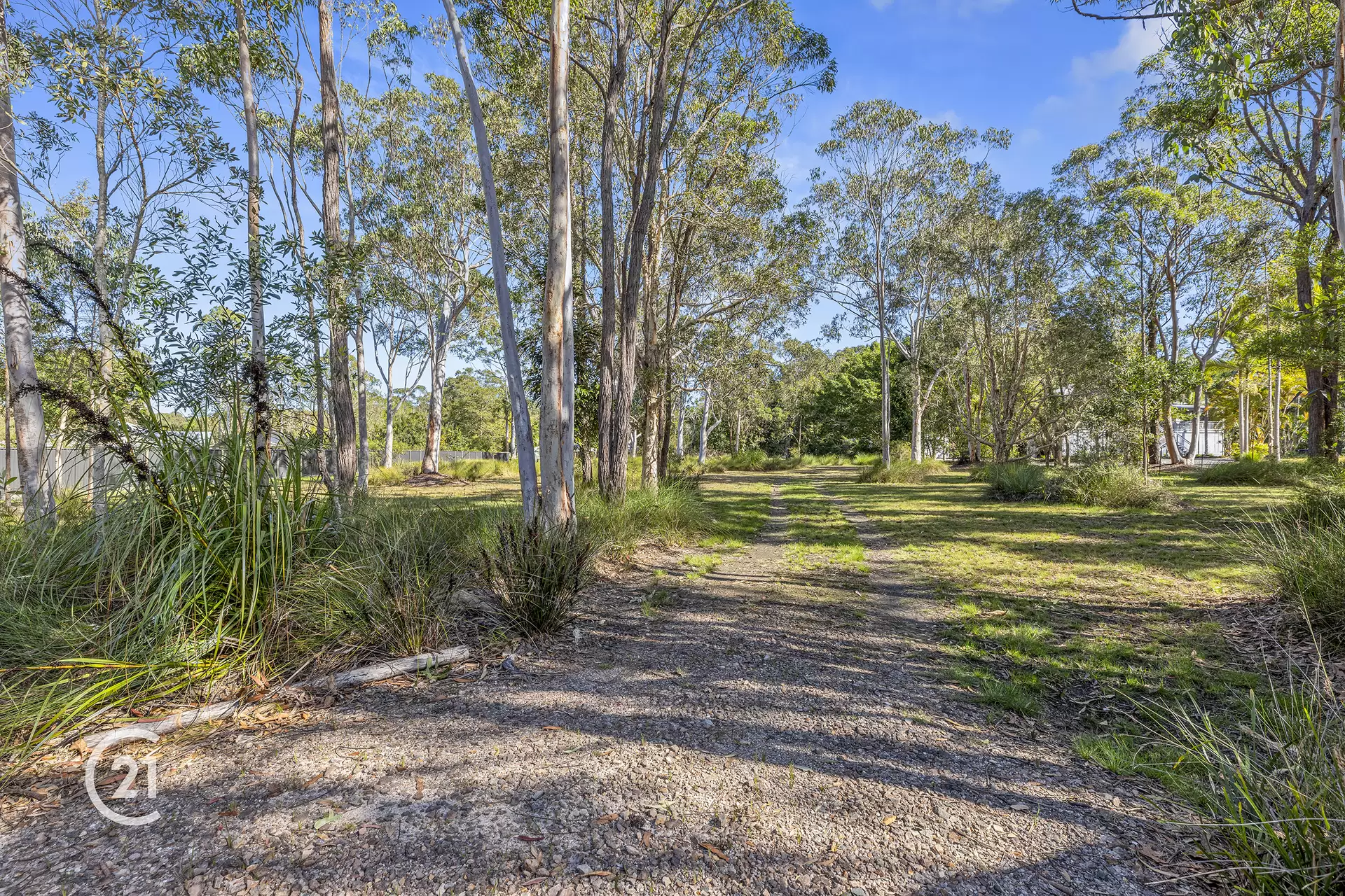Photo #10: 8 Wattlebird Drive, Doonan - Sold by Ray White Noosa