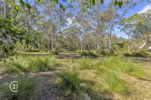 8 Wattlebird Drive, Doonan Sold by Ray White Noosa - image 5