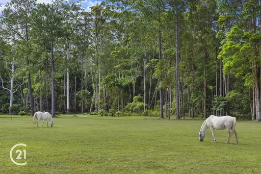 Lot 8 And Lot 9/39 Lot 8 And Lot 9/39 Tinbeerwah Road, Tinbeerwah Sold by Ray White Noosa - image 7