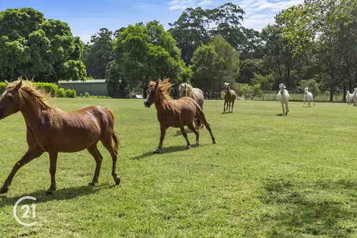 Lot 8 And Lot 9/39 Lot 8 And Lot 9/39 Tinbeerwah Road, Tinbeerwah Sold by Ray White Noosa - image 11