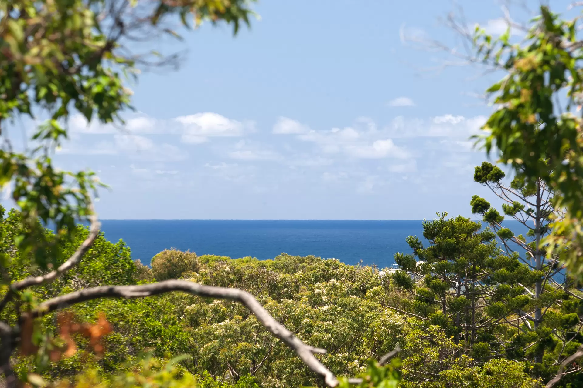 Photo #6: 7 Elanda Street, Sunshine Beach - Sold by Ray White Noosa