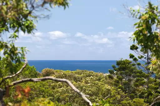 7 Elanda Street, Sunshine Beach Sold by Ray White Noosa - image 6