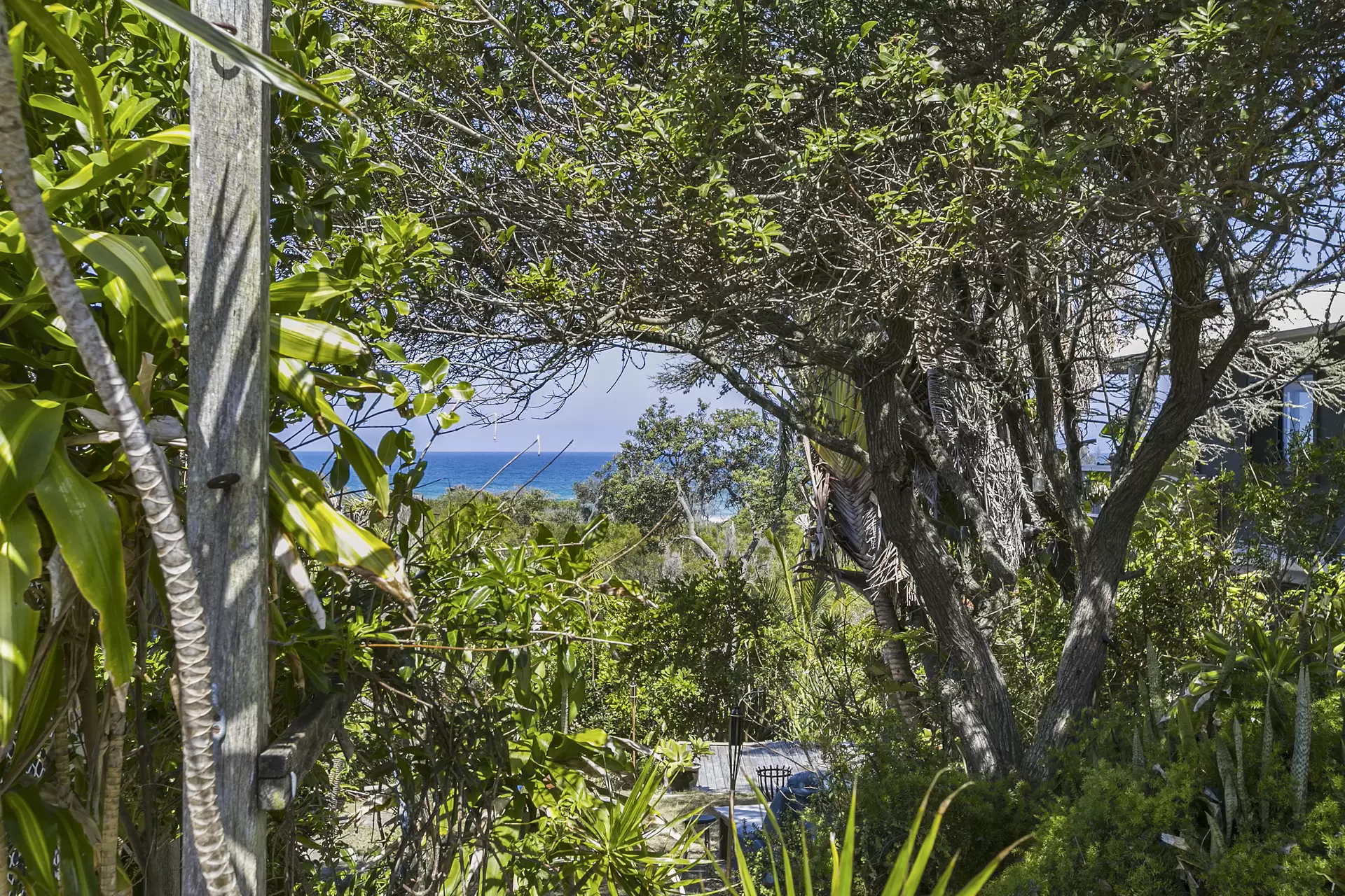 Photo #6: 16 Plover Street, Peregian Beach - Sold by Ray White Noosa