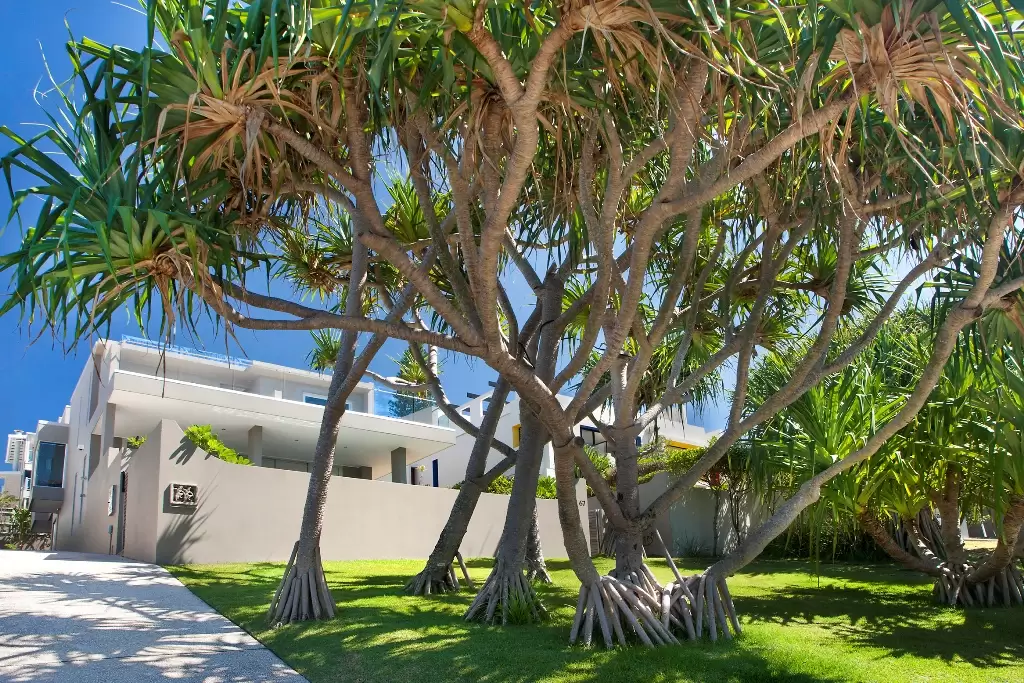 Photo #4: 67 Seaview Terrace, Sunshine Beach - Sold by Ray White Noosa