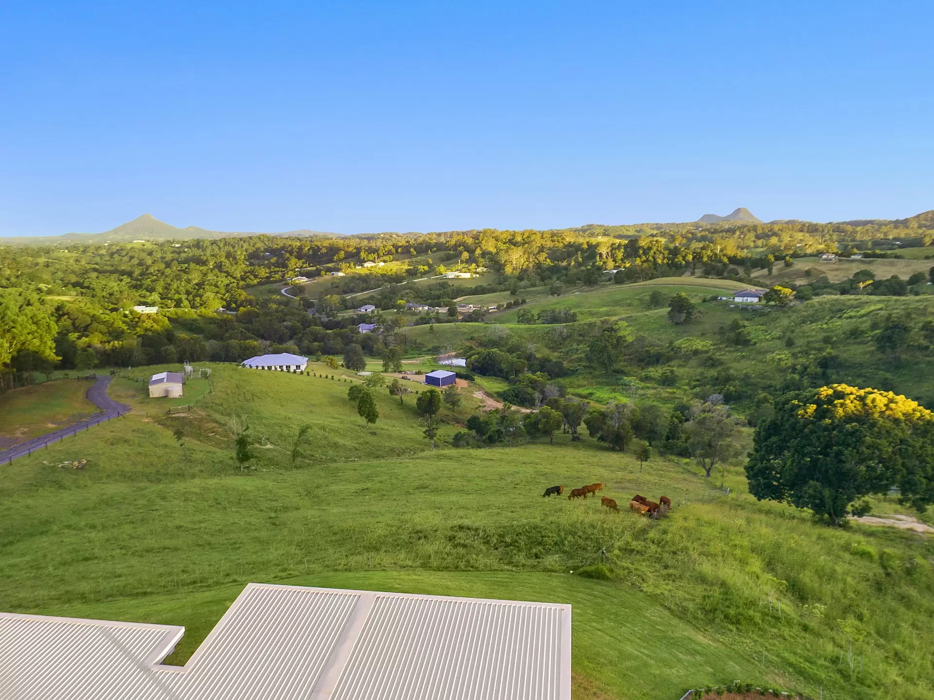 Photo #17: 68 Booyong Drive, Black Mountain - Sold by Ray White Noosa