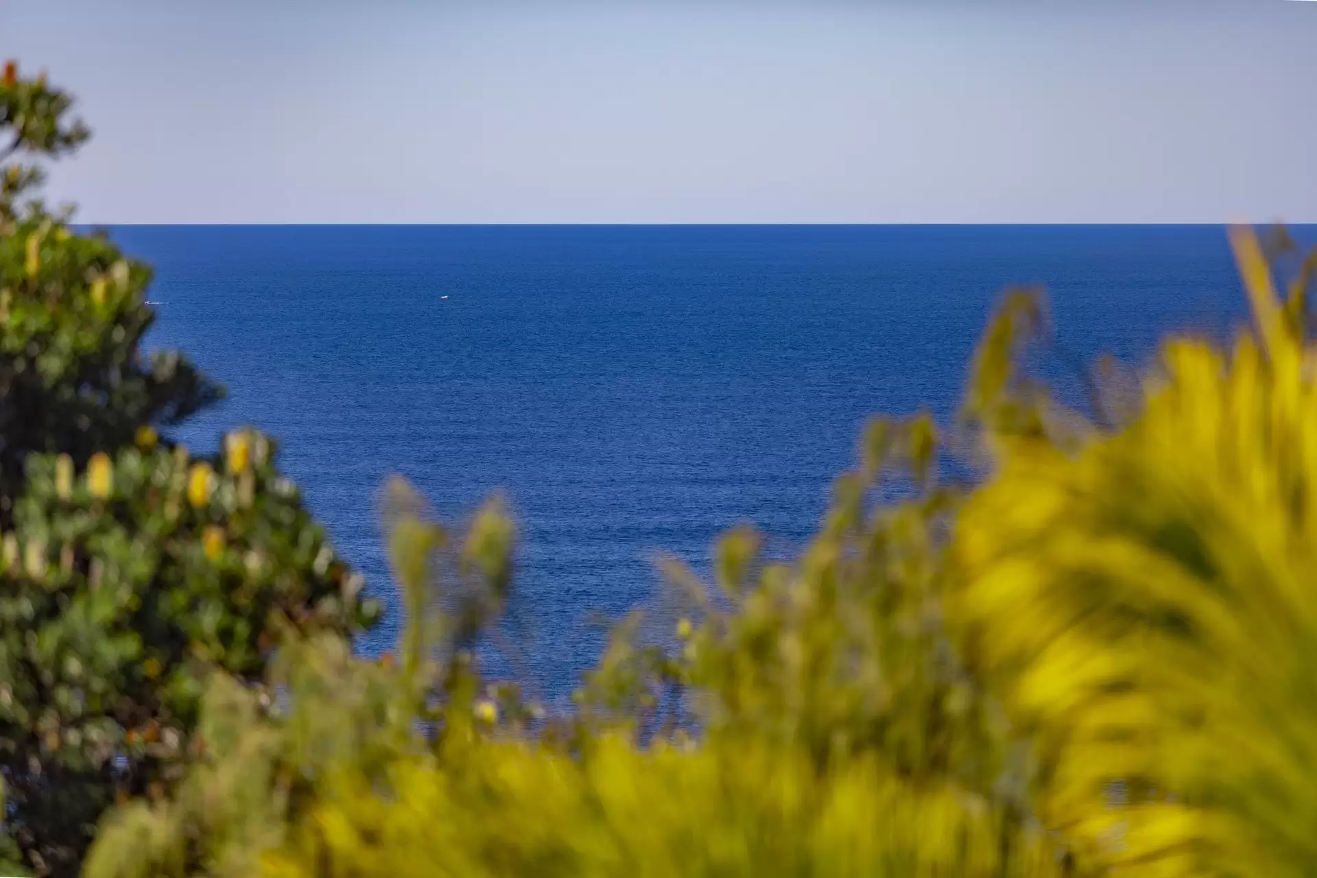 Photo #9: 10 Kiamba Court, Sunshine Beach - Sold by Ray White Noosa