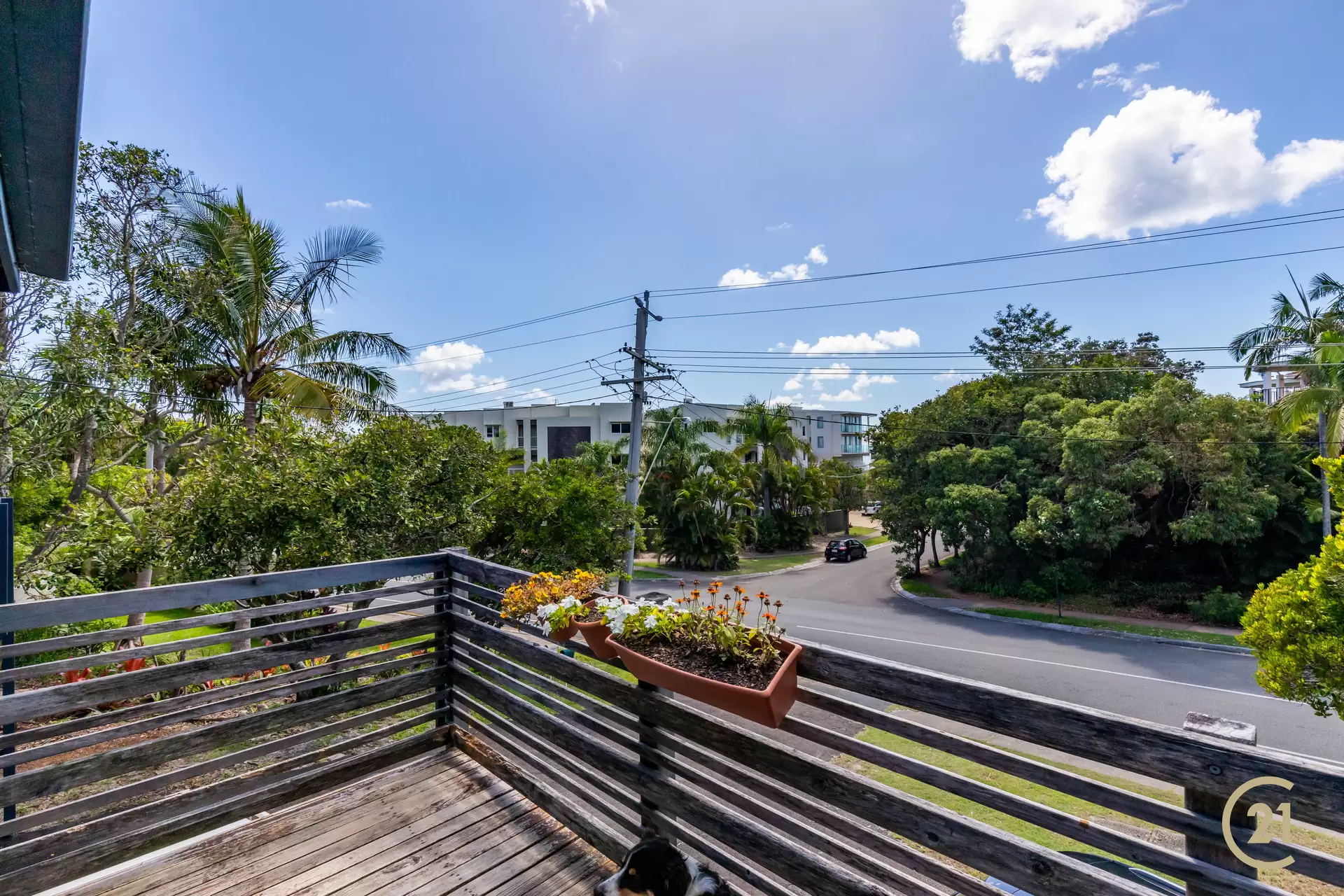 Photo #13: 3 Henderson Street, Sunshine Beach - Sold by Ray White Noosa