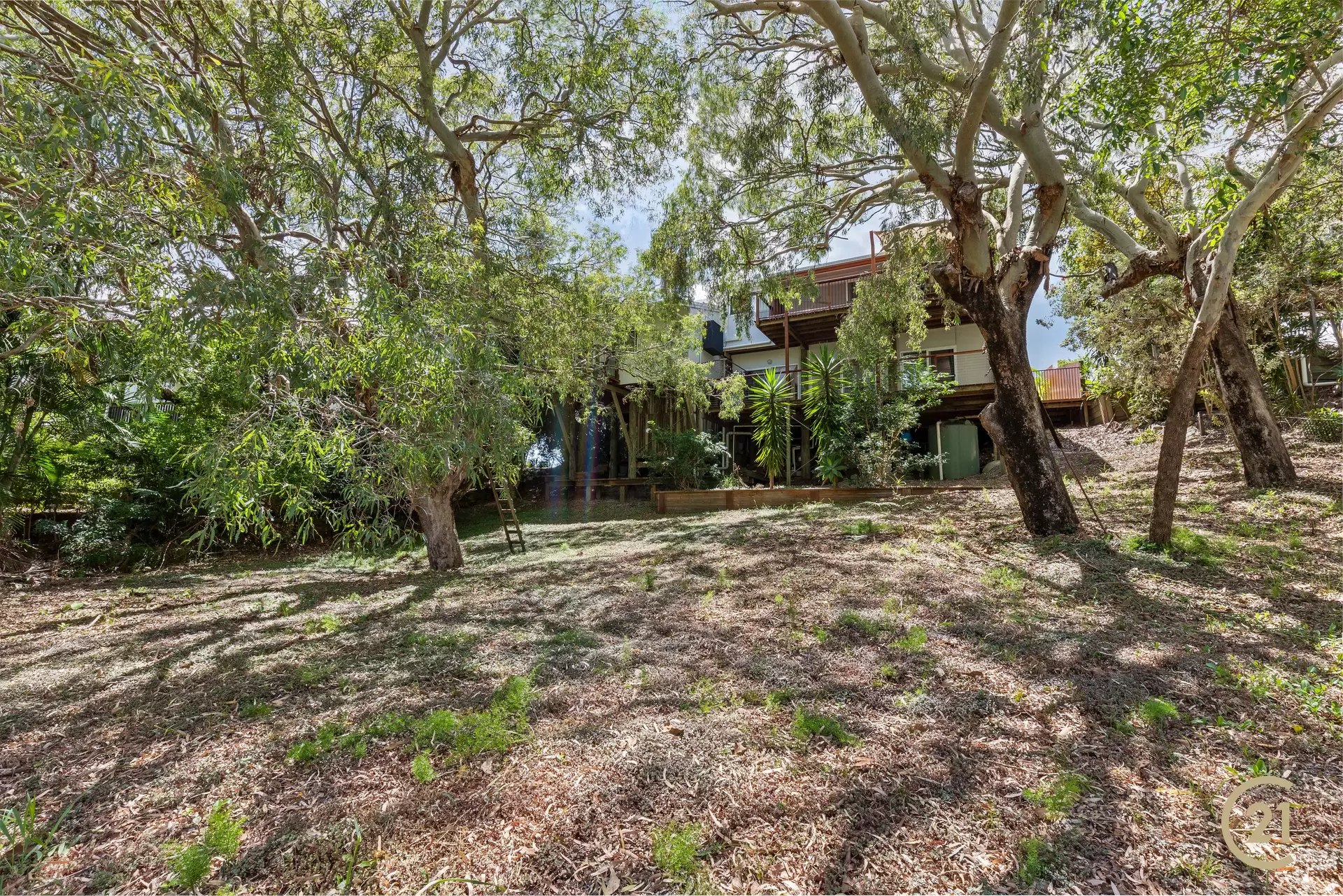 Photo #17: 57 Wavecrest Drive, Castaways Beach - Sold by Ray White Noosa