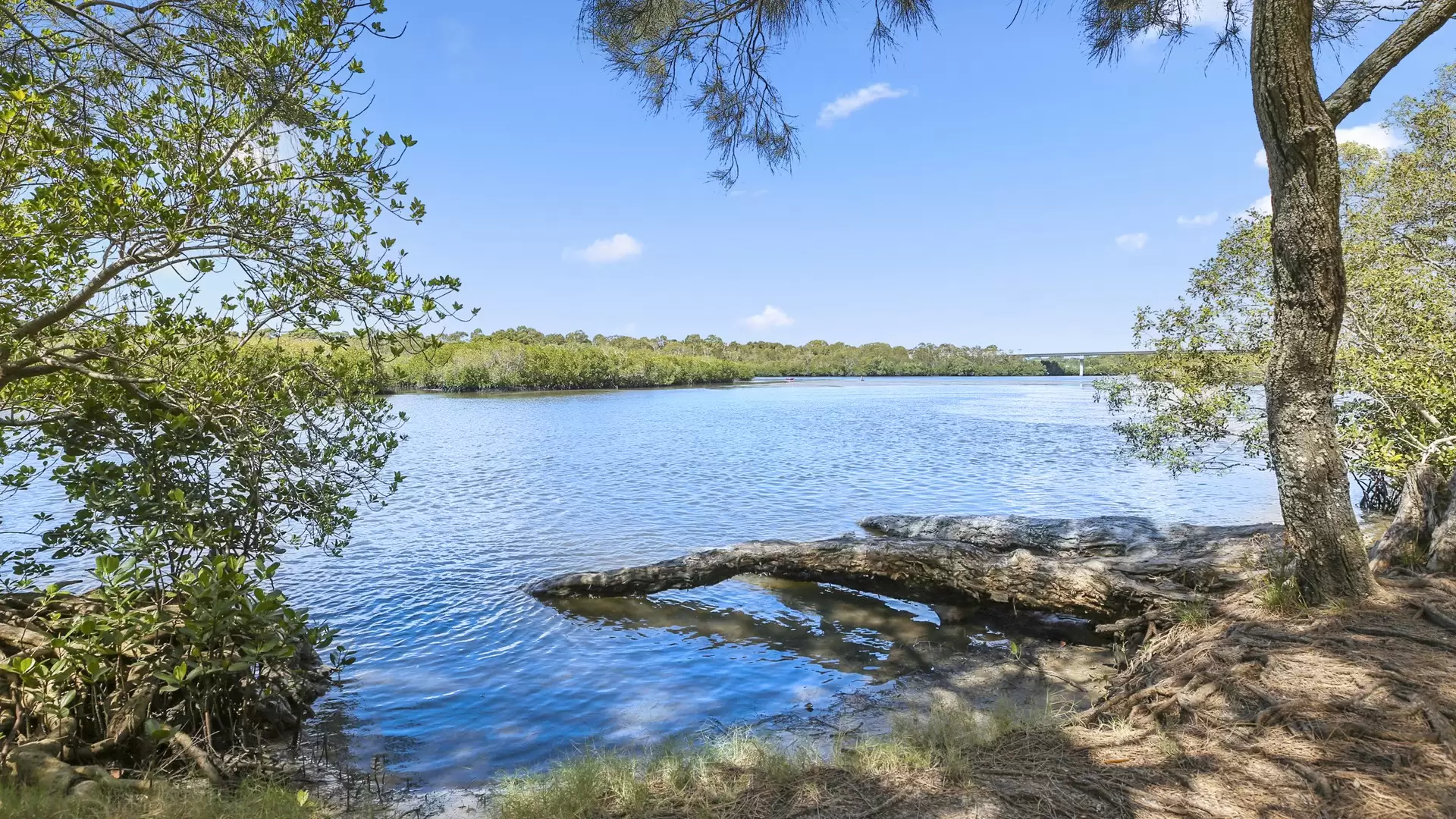 Photo #22: 11 Creek Road, Noosaville - Sold by Ray White Noosa