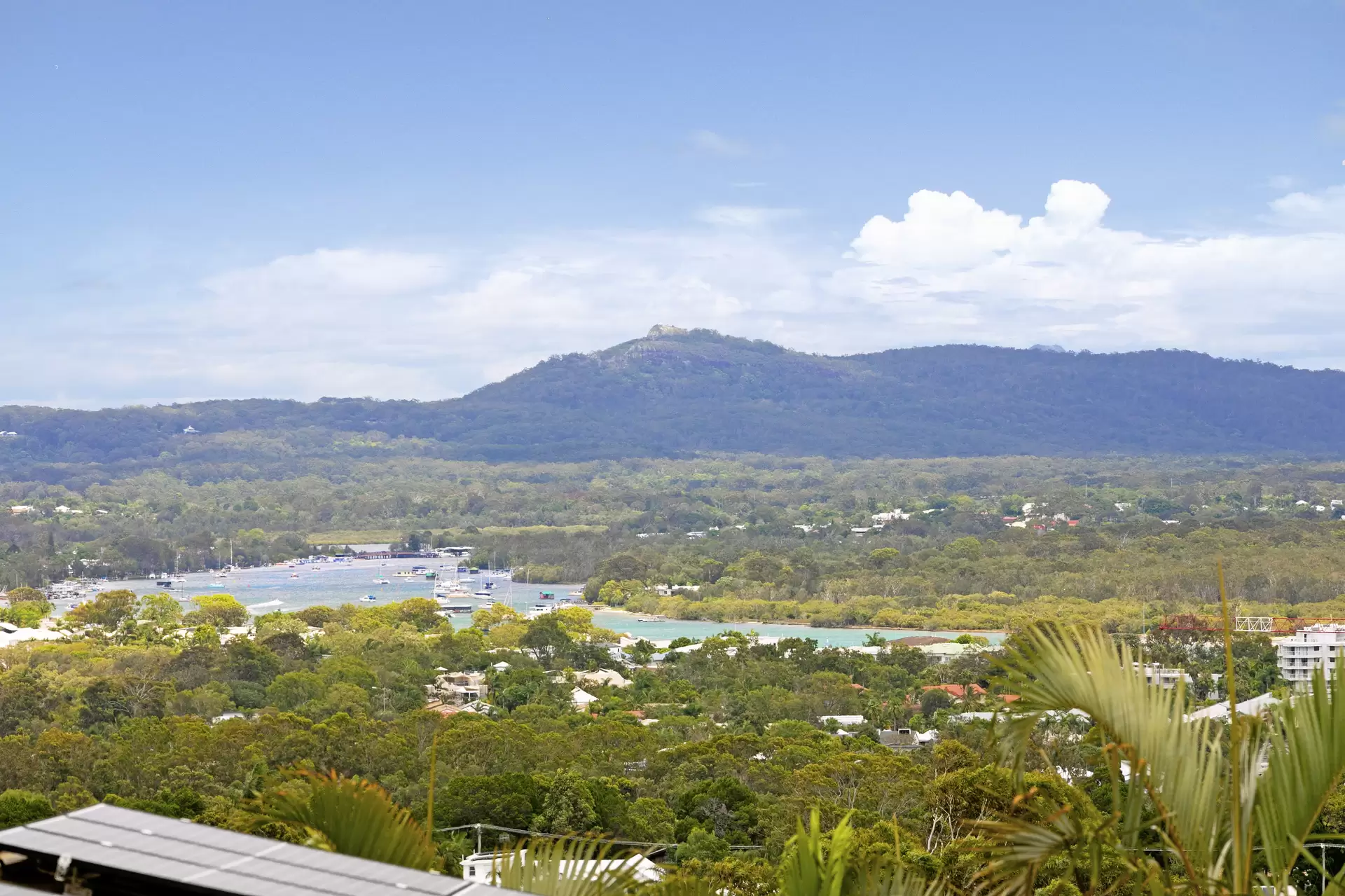 Photo #10: 39 Nairana Rest, Noosa Heads - Sold by Ray White Noosa
