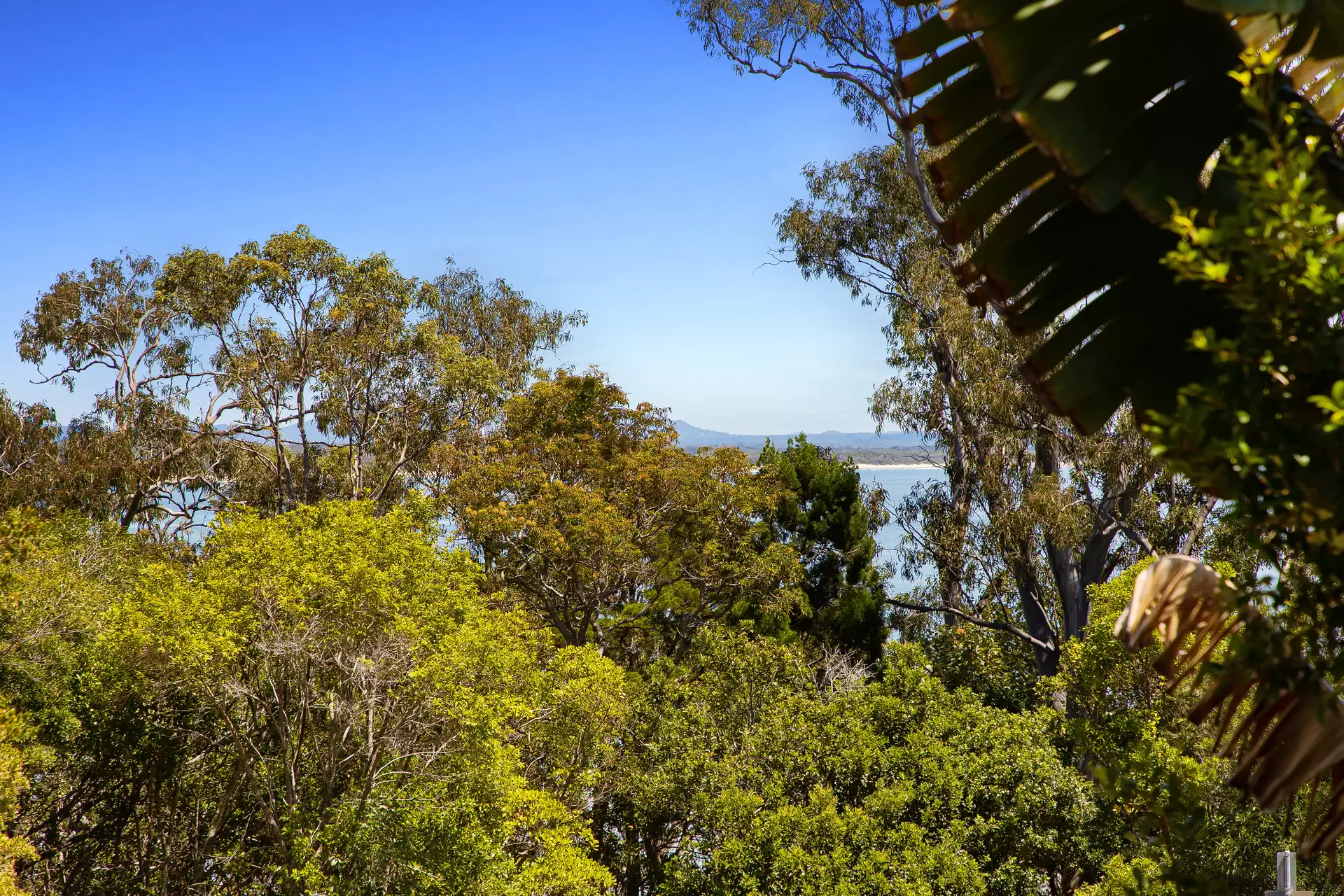Photo #18: 5/7 Mitti Street, Noosa Heads - Sold by Ray White Noosa