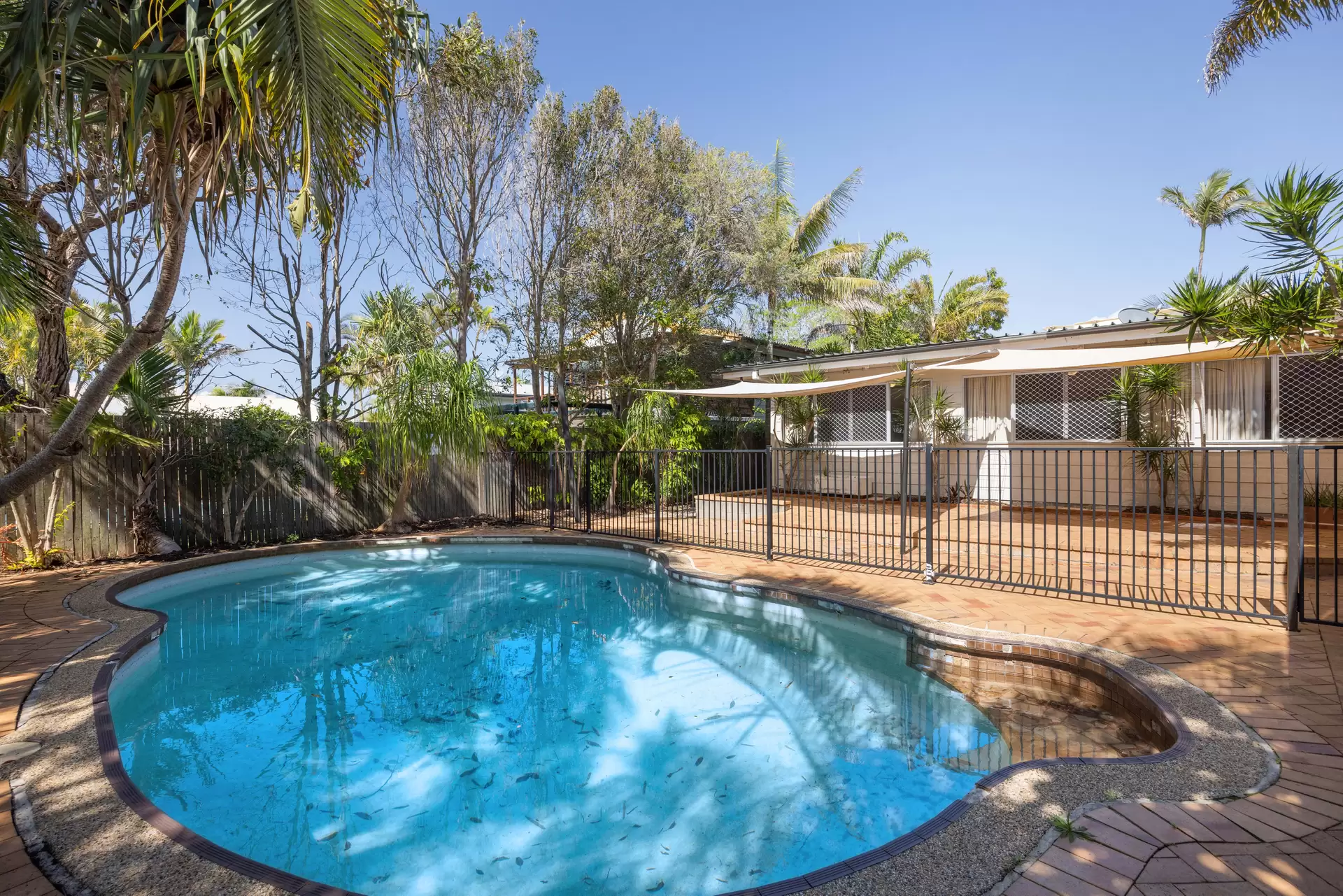 Photo #8: 10 Weyba Street, Sunshine Beach - Sold by Ray White Noosa