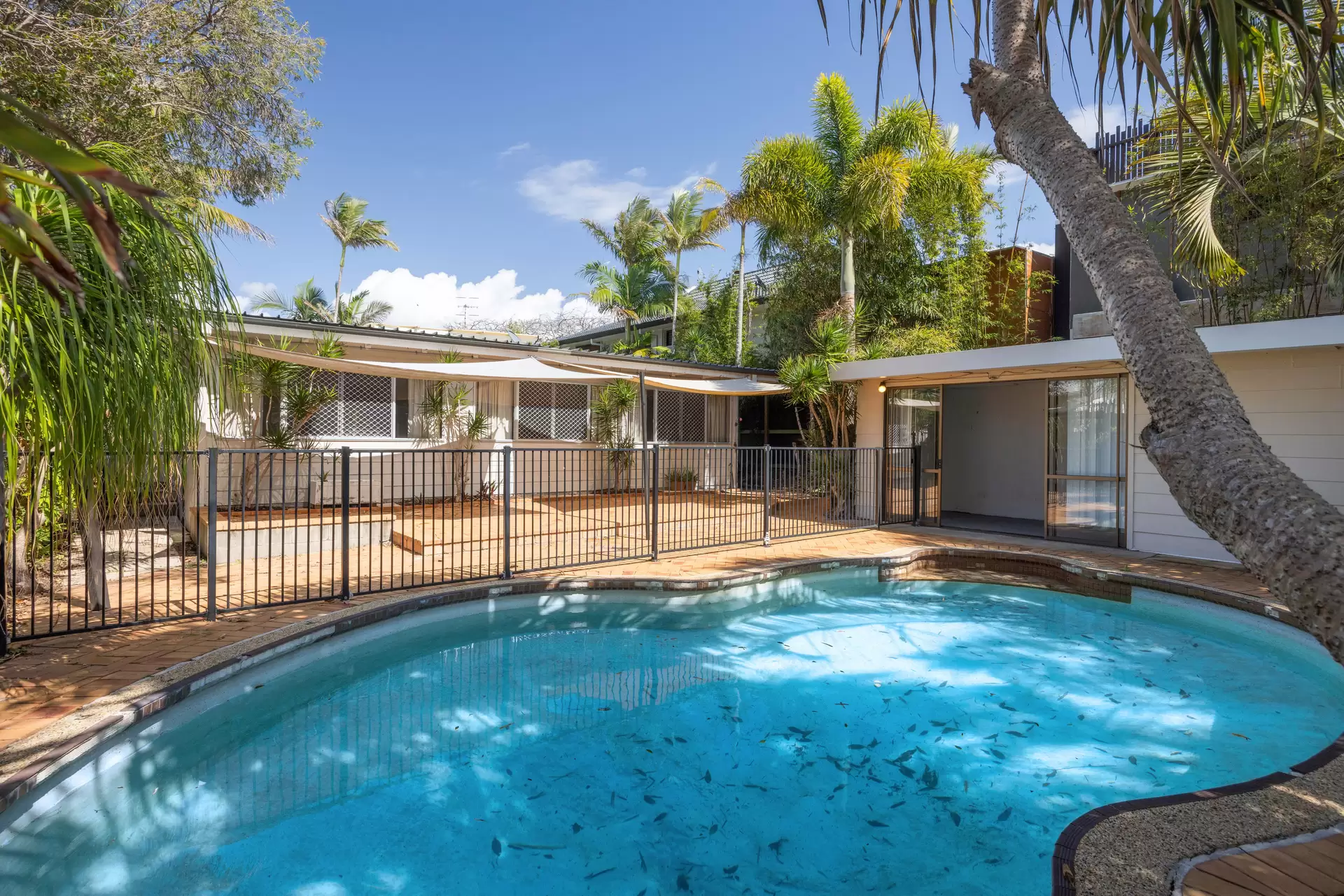 Photo #3: 10 Weyba Street, Sunshine Beach - Sold by Ray White Noosa