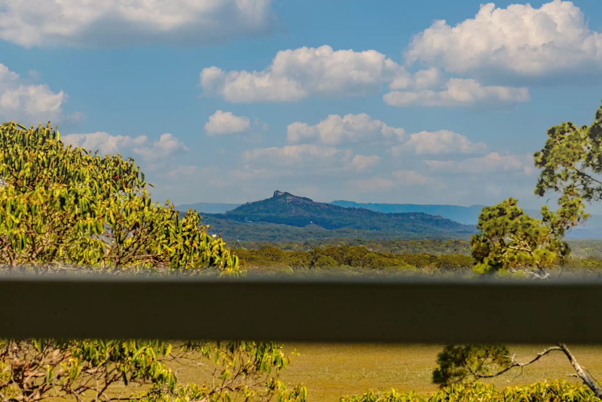 Photo #1: 296 David Low Way, Peregian Beach - Sold by Ray White Noosa