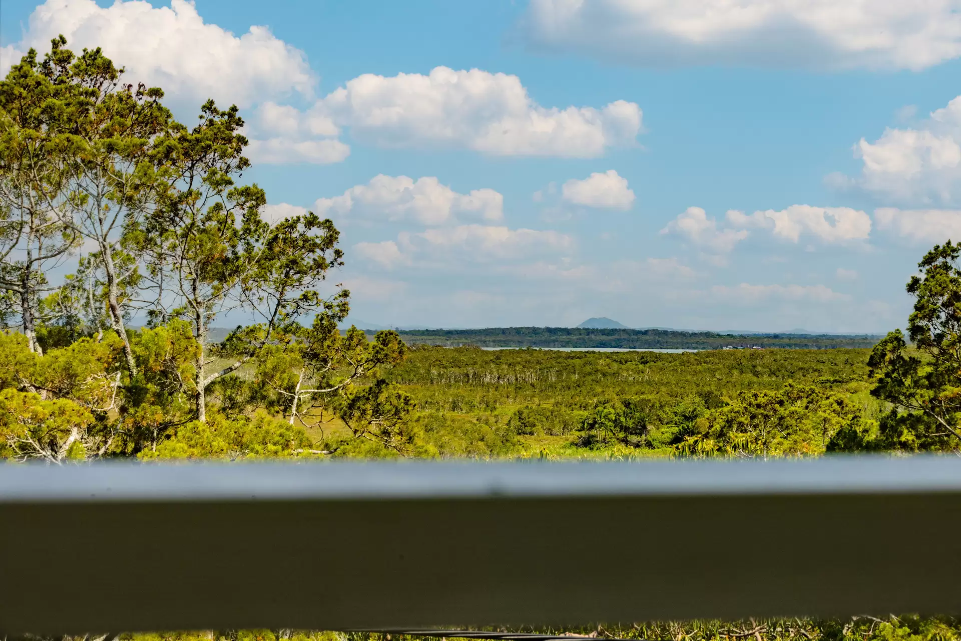 Photo #3: 296 David Low Way, Peregian Beach - Sold by Ray White Noosa
