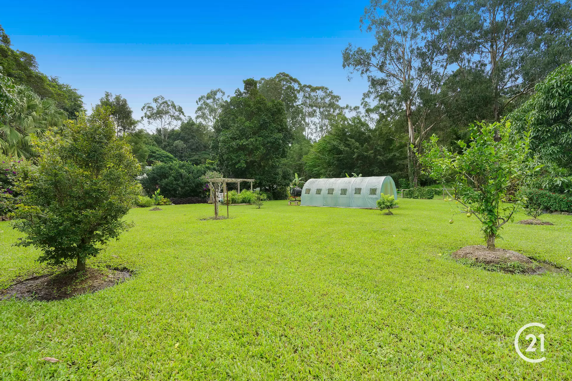 Photo #22: 29 Youngs Drive, Doonan - Sold by Ray White Noosa