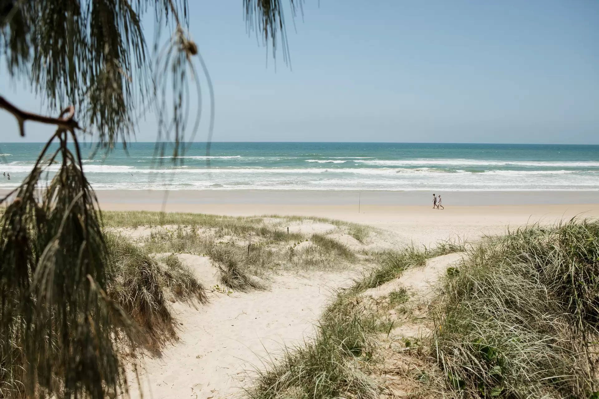 Photo #11: 320 David Low Way, Peregian Beach - Sold by Ray White Noosa
