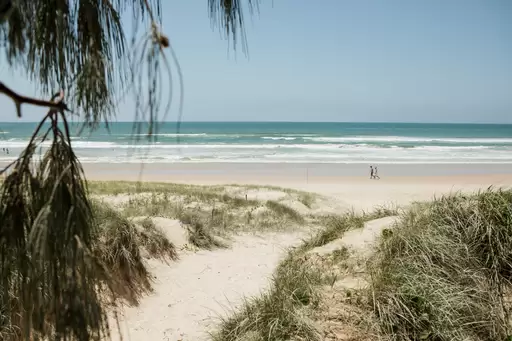 320 David Low Way, Peregian Beach Sold by Ray White Noosa - image 11