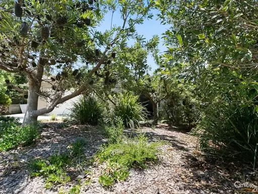 42  Lorilet Street, Peregian Beach Sold by Ray White Noosa - image 21
