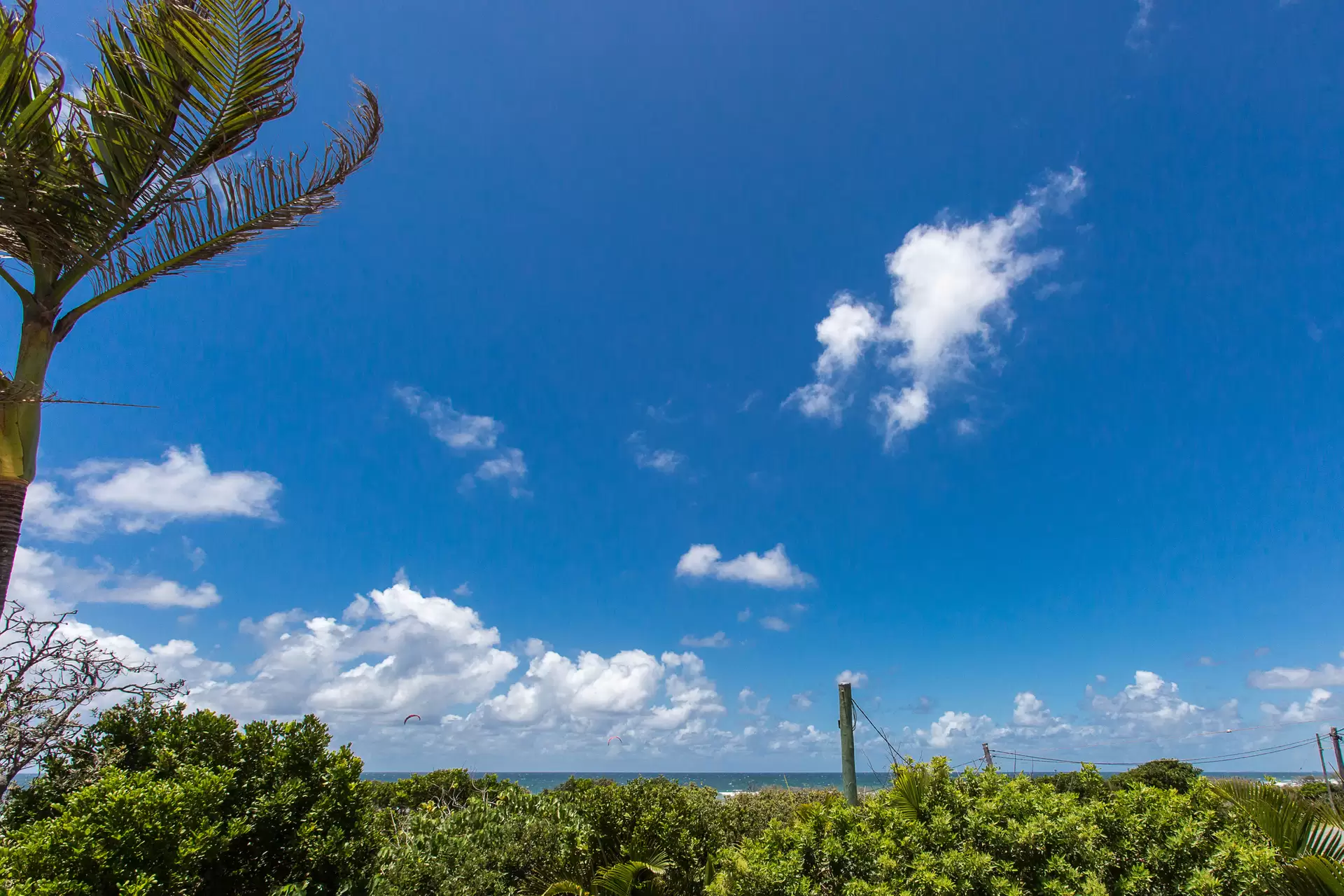 Photo #8: 42/388 David Low Way, Peregian Beach - Sold by Ray White Noosa