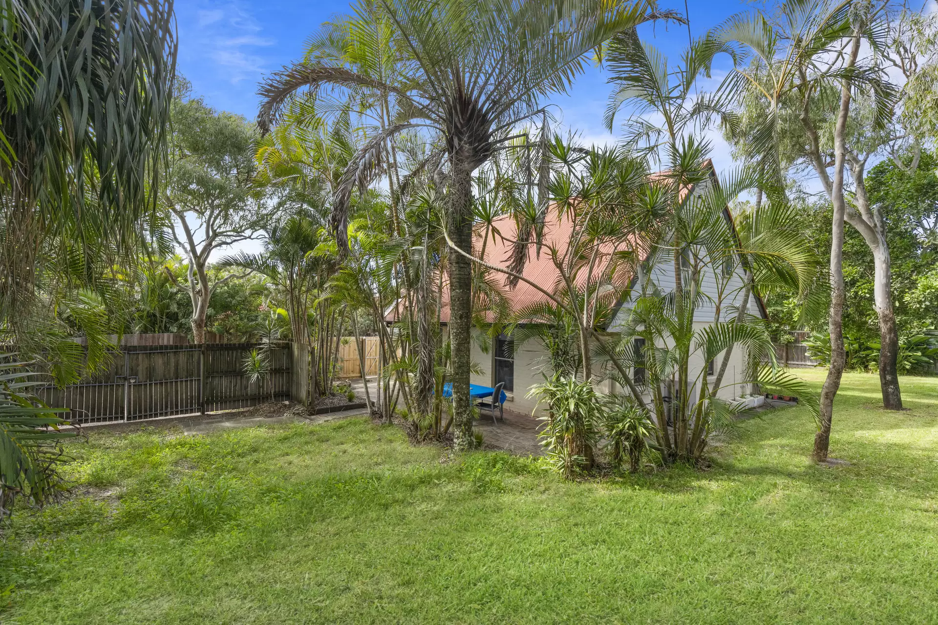 Photo #11: 374 David Low Way, Peregian Beach - Sold by Ray White Noosa