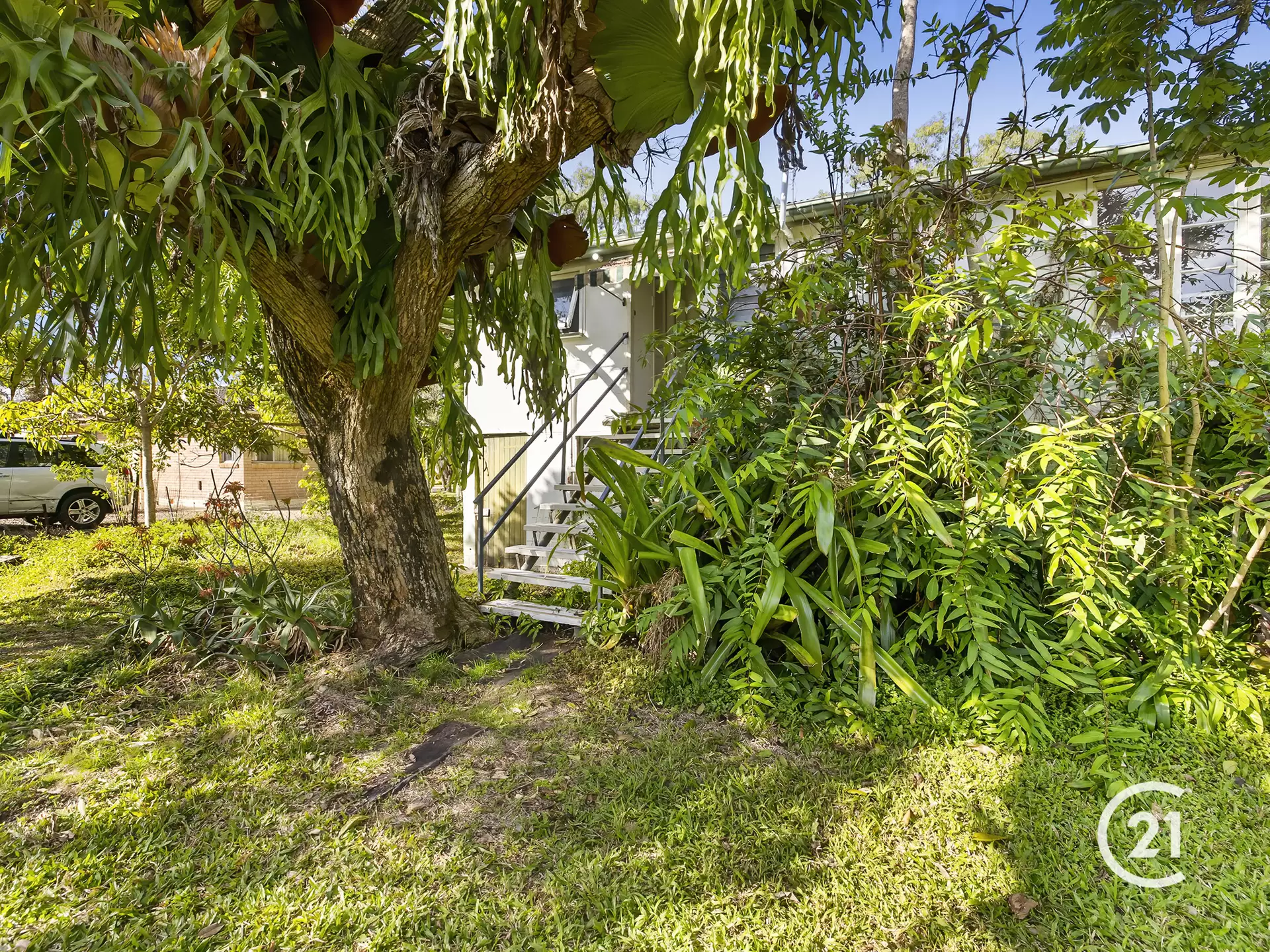 Photo #8: 78 Ward Street, Tewantin - Sold by Ray White Noosa