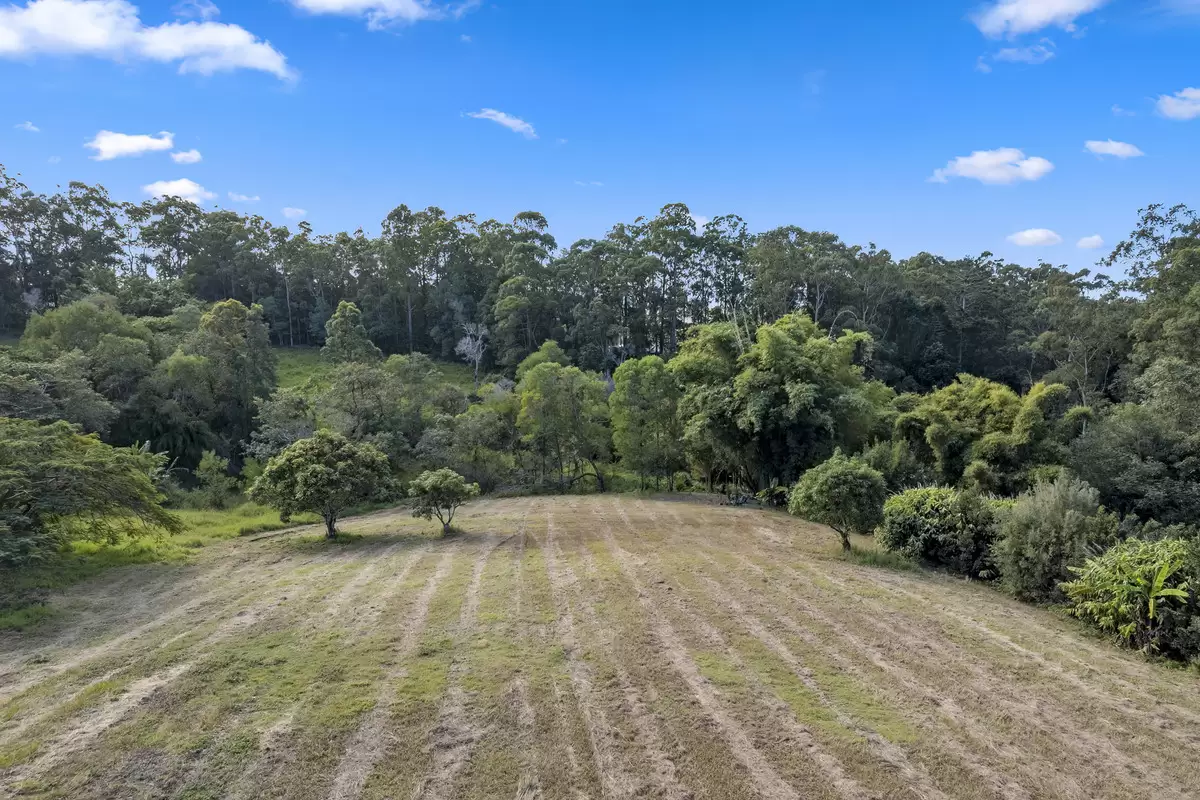 Photo #6: 96 Clearview Drive, Lake Macdonald - Sold by Ray White Noosa