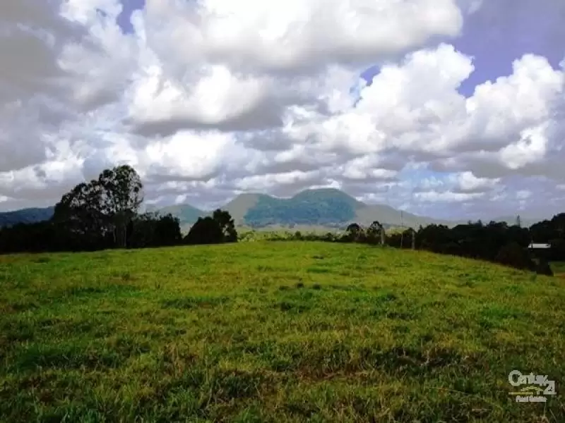 Photo #1: 1 Main Camp Road, Eerwah Vale - Sold by Ray White Noosa