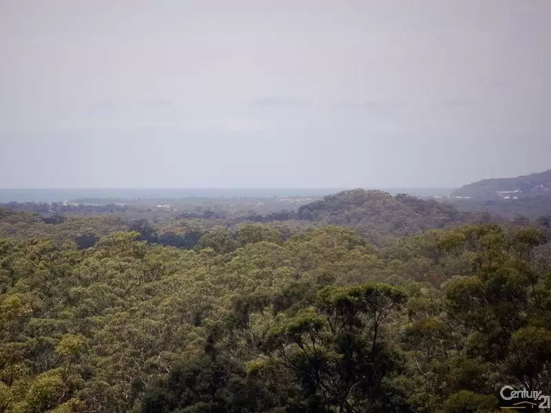 Photo #5: 31 Coast View Parade, Doonan - Sold by Ray White Noosa