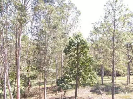 107 Duke Road, Doonan Sold by Ray White Noosa - image 10