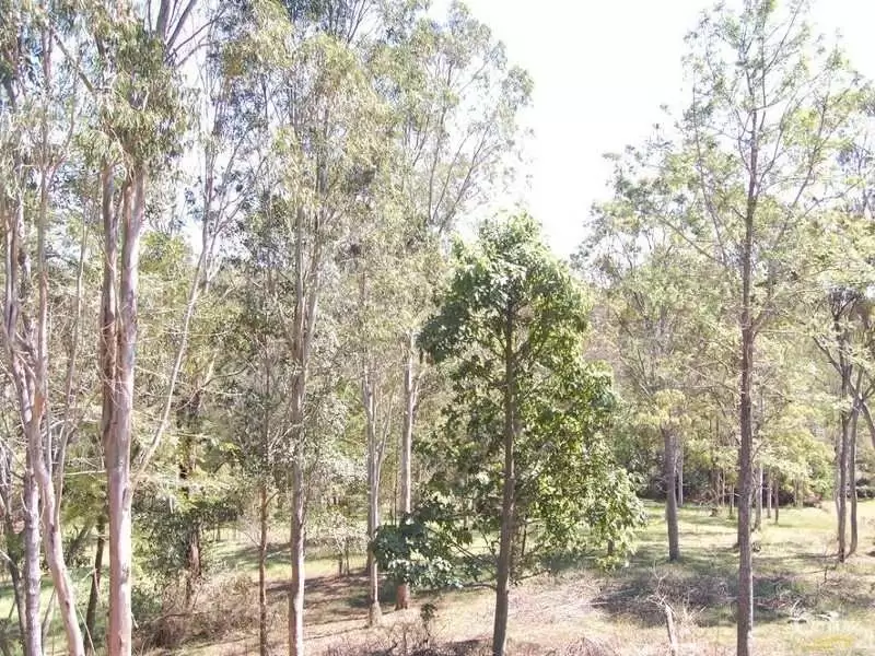 Photo #10: 107 Duke Road, Doonan - Sold by Ray White Noosa