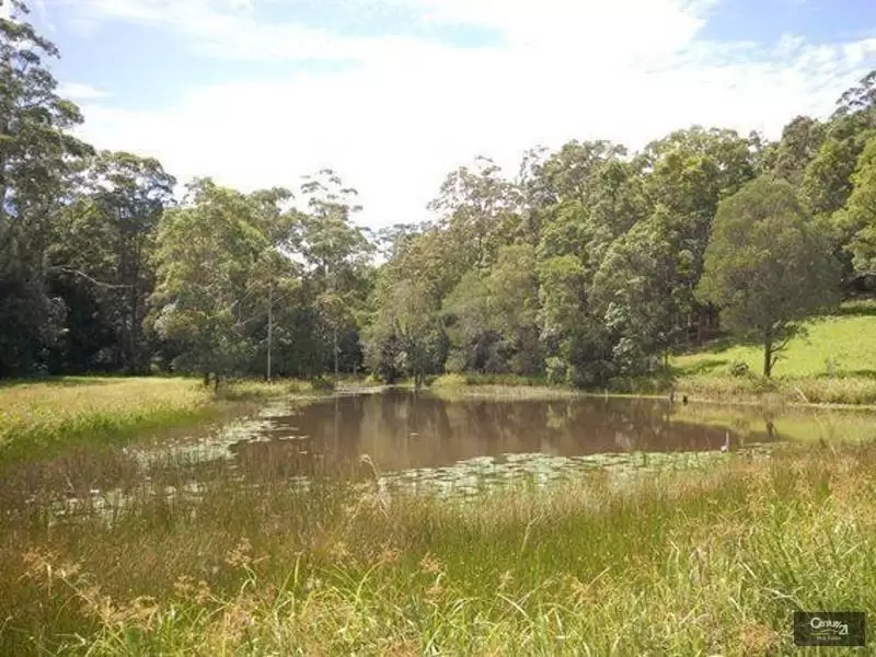 Photo #4: 262a Sunrise Road, Doonan - Sold by Ray White Noosa
