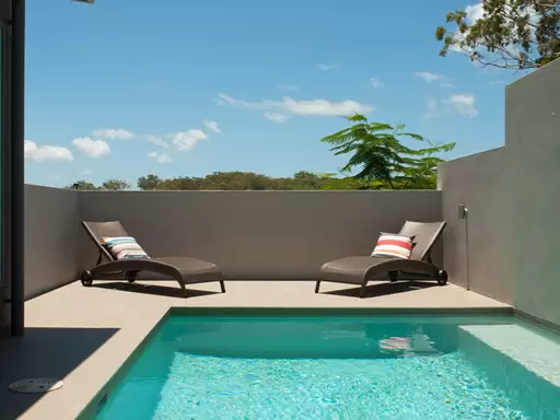 202 The Avenue, Peregian Springs Sold by Ray White Noosa - image 6