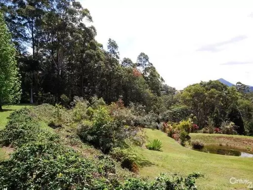 Eumundi Sold by Ray White Noosa - image 9