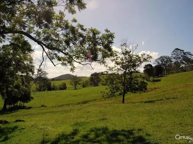 Photo #13: 1090 Eumundi Kenilworth Road, Belli Park - Sold by Ray White Noosa