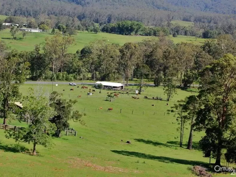 Photo #10: 1090 Eumundi Kenilworth Road, Belli Park - Sold by Ray White Noosa
