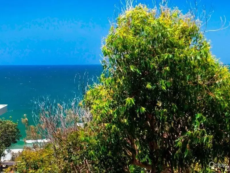 Photo #3: 22 Adams Street, Sunshine Beach - Sold by Ray White Noosa