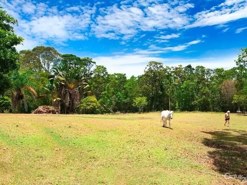 Photo #7: 53 Coveys Road, Tinbeerwah - Sold by Ray White Noosa