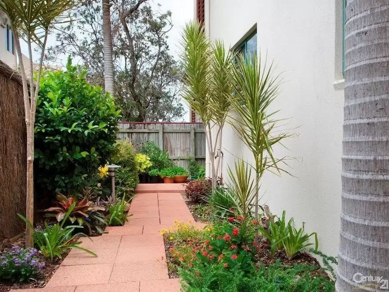 Photo #11: 2/33 Tingira Crescent, Sunrise Beach - Sold by Ray White Noosa
