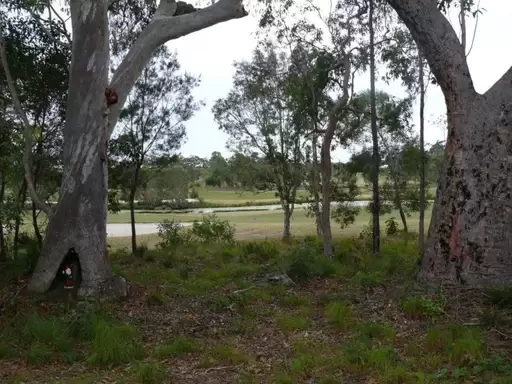 Peregian Springs Sold by Ray White Noosa - image 4