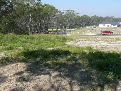 Lot 4431,  Scribbly Gum Circuit, Peregian Springs Sold by Ray White Noosa - image 2