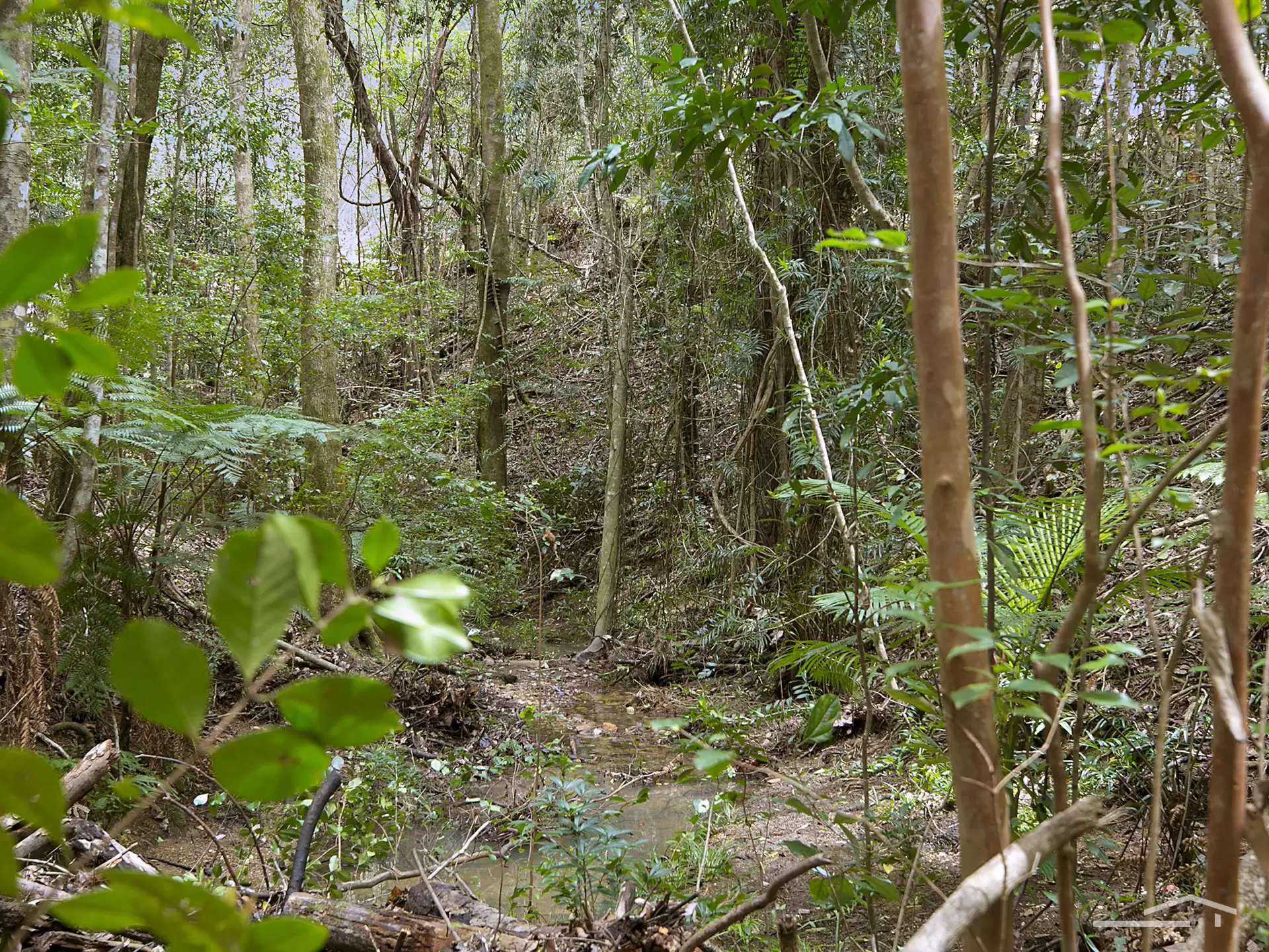 Photo #3: 195 Sunrise Road, Eumundi - Sold by Ray White Noosa