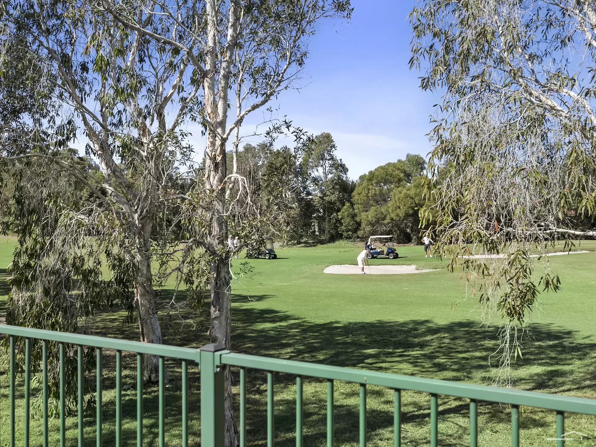 Photo #8: 213 Balgownie Drive, Peregian Springs - Sold by Ray White Noosa