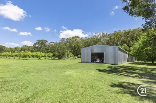 17a Yatama Place, Cooroibah Sold by Ray White Noosa - image 2