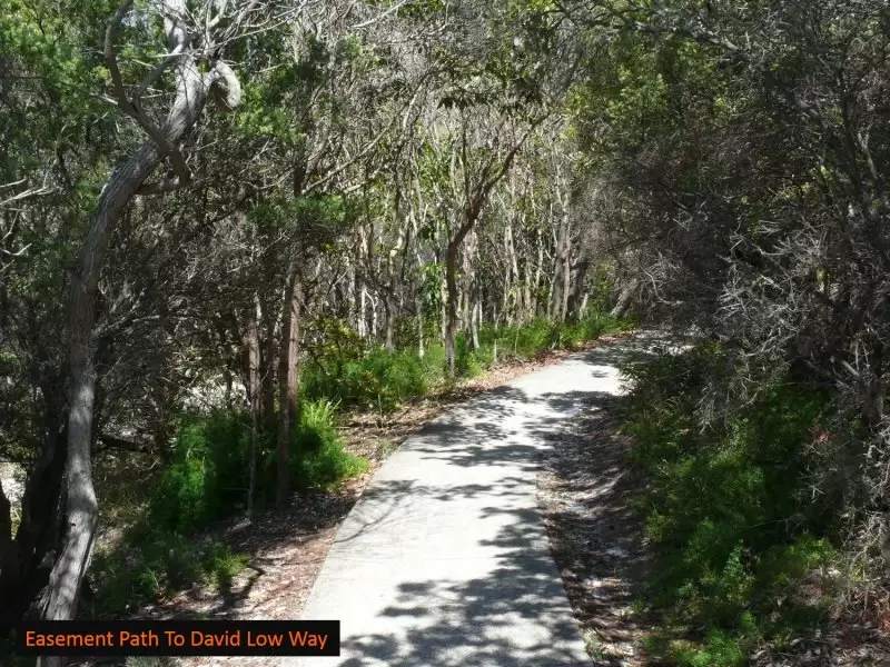 Photo #4: 49 Parakeet Crescent, Peregian Beach - Sold by Ray White Noosa