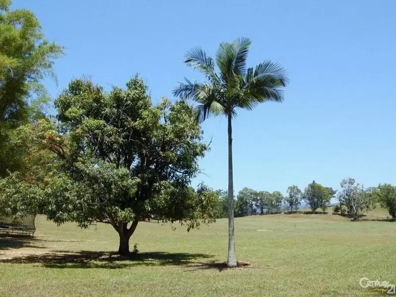 Photo #8: 24 Solar Road, Eumundi - Sold by Ray White Noosa